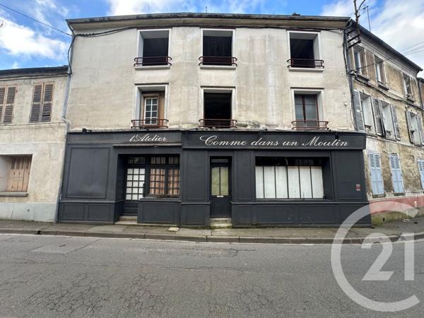 Maison à vendre  6 pièces - 330,55 m2 CRECY LA CHAPELLE - 77