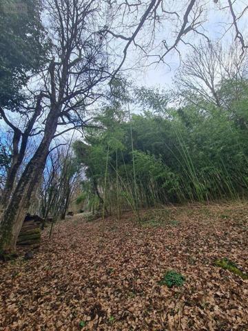 Maison à vendre à Les Arsures dans le Jura (39600), ref : VM2283-25014