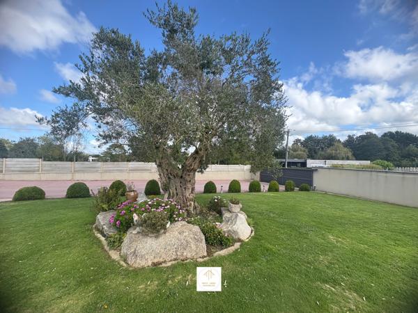 Lesneven (29260) Sylvie Tromelin