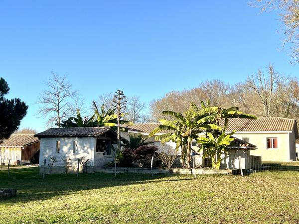 Plain-pied moderne avec piscine et dépendances