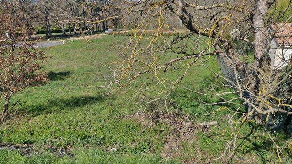 Terrain constructible de 954 m² viabilisé