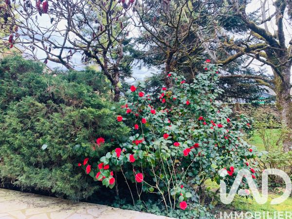 Maison à vendre 6 pièces 129 m² Terrasson-Lavilledieu