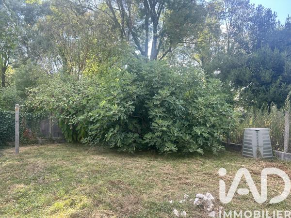 Location maison 4 pièces 74 m² Chalais