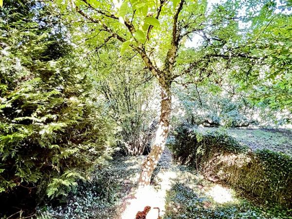 Maison de village Darney 3 pièce(s) 62 m2