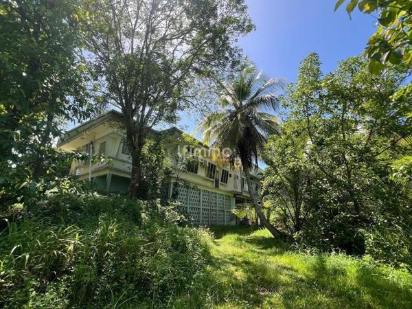 Terrain de 1.2 hectares avec villa 395 m2 et dépendance
