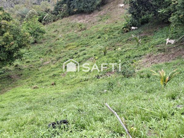 Terrain 566 m² en lotissement – Sainte-Luce