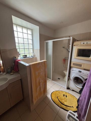Dpt Cher (18), à vendre BEFFES maison P5 avec piscine
