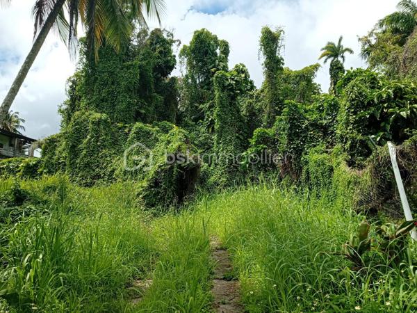 Terrain commercial de 1 777 m²