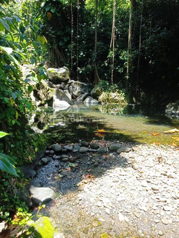 Terrain commercial de 1 777 m²