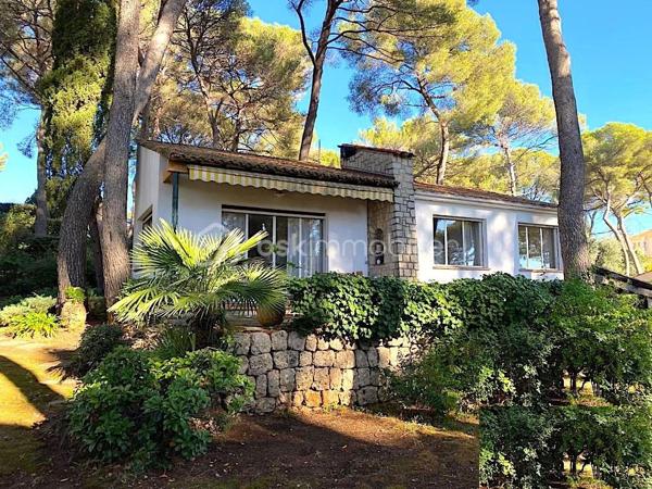 Idéalement située dans le secteur recherché de la Pinède au Cannet, à proximité immédiate de toutes les commodités (commerces, écoles, transports en commun), cette villa individuelle de construction traditionnelle des années 1970 vous séduira par son calme, son absence de vis-à-vis et son formidable potentiel.

D'une surface habitable de 90 m², de plain-pied, elle se compose :
- Une entrée
- Un salon avec cheminée
- Une cuisine indépendante équipée
- 3 chambres avec placards
- Une salle de bains
- Un WC + un WC indépendant

Un atout majeur : un grand sous-sol total d'environ 90 m², accessible directement depuis l'intérieur de la maison, comprenant un garage, une cave à vin et un atelier/dressing.

À l'extérieur, vous profiterez également d'un abri voiture ainsi que d'un petit atelier indépendant avec baie vitrée, idéal pour un bureau, un studio ou un espace créatif.

La villa dispose d'une terrasse et s'ouvre sur un magnifique terrain arboré de 1300 m², offrant une intimité rare (aucun vis-à-vis) et un cadre verdoyant.

Le terrain est piscinable et offre une réelle possibilité d'extension : un bien avec un fort potentiel, à personnaliser selon vos envies.

✅ Villa de plain-pied 90 m²
✅ Terrain arboré de 1300 m²
✅ Aucun vis-à-vis
✅ Sous-sol de 90 m² (garage, cave à vin, atelier/dressing)
✅ Atelier indépendant avec baie vitrée
✅ Piscinable
✅ Possibilité d'extension
✅ Proche commerces, écoles et transports

Un bien rare offrant calme, espace et potentiel, à découvrir sans tarder !