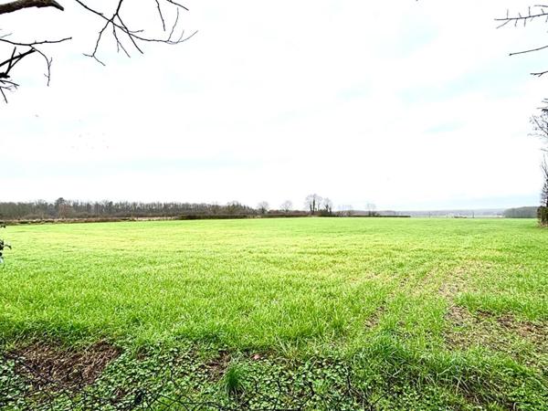 Maison de campagne 15 min d'Angers 6 pièce(s) 175 m2