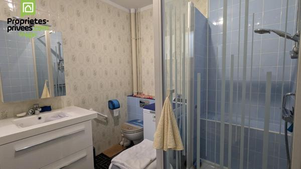 Maison en viager occupé .Theneuil .L'ile Bouchard