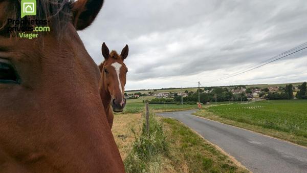 Maison en viager occupé .Theneuil .L'ile Bouchard