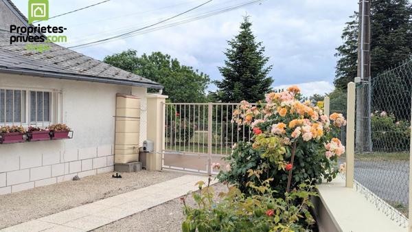 Maison en viager occupé .Theneuil .L'ile Bouchard