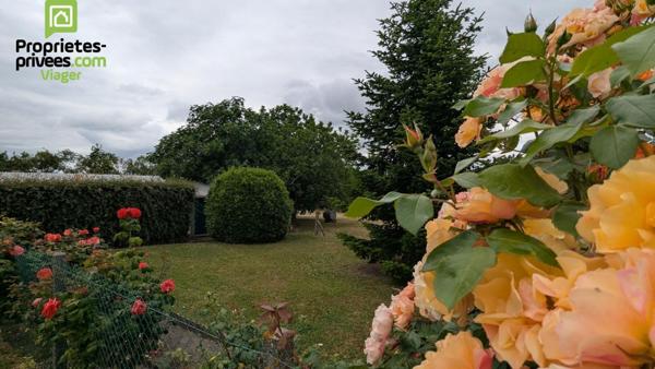Maison en viager occupé .Theneuil .L'ile Bouchard