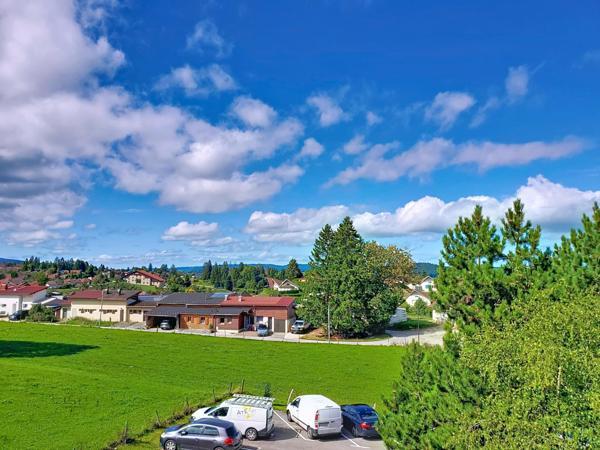 Appartement 42m² : Confort et Charme au Cœur des Montagnes