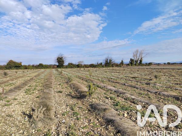 Terrain à vendre 4 952 m² Sainte-Cécile-les-Vignes
