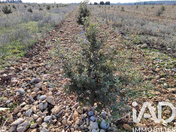 Terrain à vendre 4 952 m² Sainte-Cécile-les-Vignes