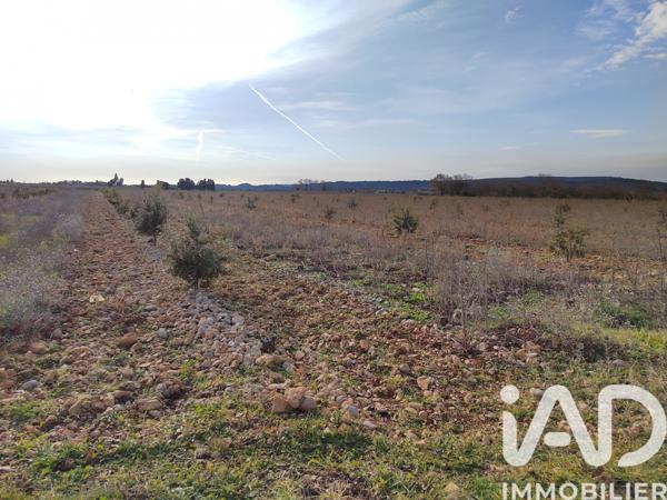 Terrain à vendre 4 952 m² Sainte-Cécile-les-Vignes