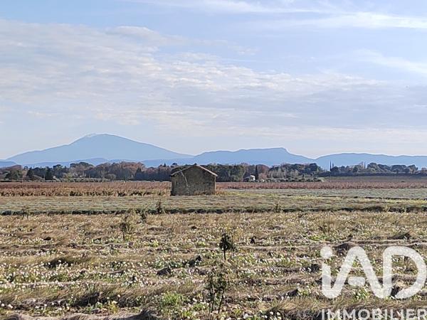 Terrain à vendre 4 952 m² Sainte-Cécile-les-Vignes