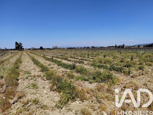 Terrain à vendre 4 952 m² Sainte-Cécile-les-Vignes