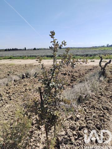 Terrain à vendre 4 952 m² Sainte-Cécile-les-Vignes