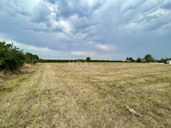Terrain constructible