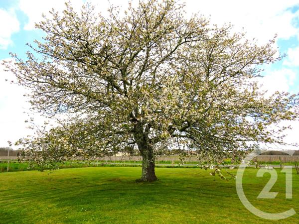 Maison à vendre  4 pièces - 115 m 2   BUDOS  - 33
