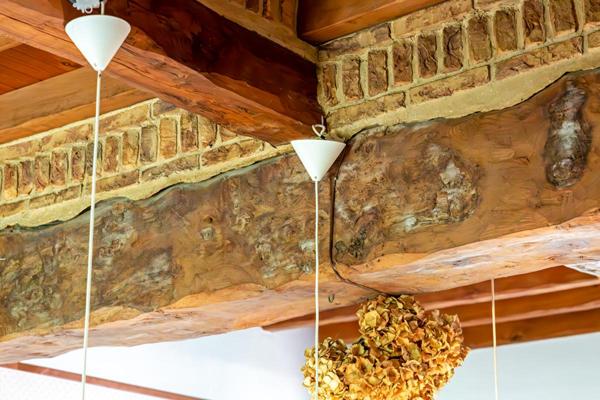 Authentique briques et silex, 250m2 dont 8 chambres. Beaux volumes