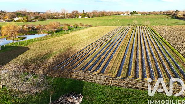 Maison à vendre 6 pièces 100 m² Castelsarrasin