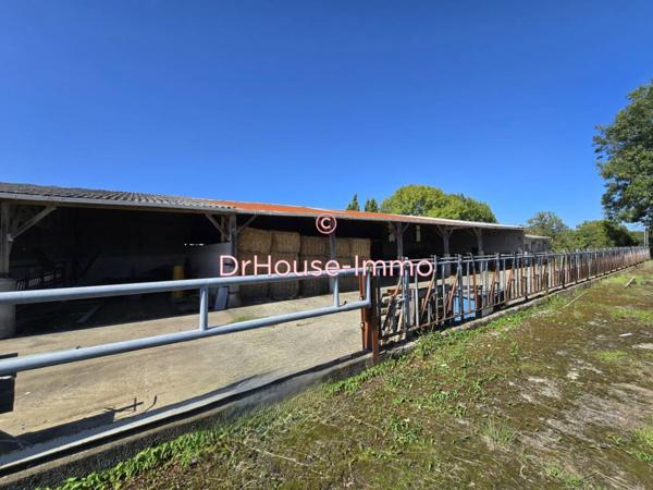 Bien immobilier à vendre de 831 m²