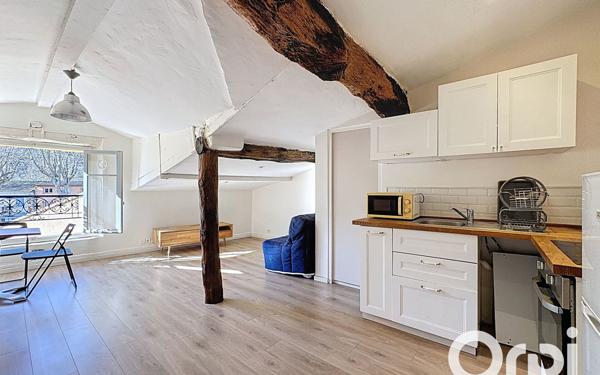 Appartement à vendre    1 pièce •  Villeneuve-Loubet