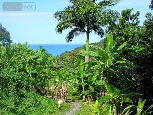Autres types de propriété à vendre à Deshaies en Guadeloupe (97126), ref : 15056/157