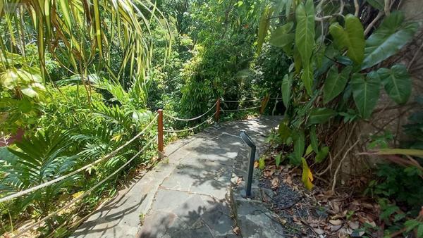 Autres types de propriété à vendre à Deshaies en Guadeloupe (97126), ref : 15056/157