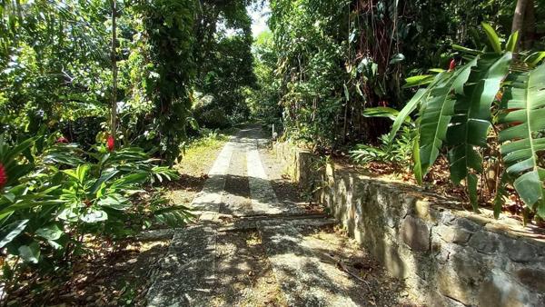Autres types de propriété à vendre à Deshaies en Guadeloupe (97126), ref : 15056/157