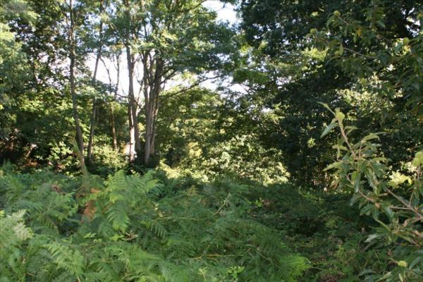 Terrain à Batir à vendre à Lannion dans les Côtes-d'Armor (22300), ref : B2