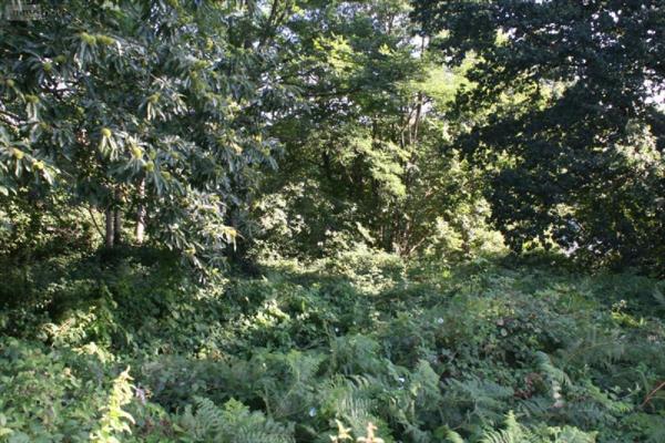 Terrain à Batir à vendre à Lannion dans les Côtes-d'Armor (22300), ref : B2