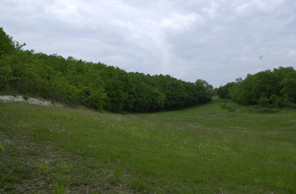 Laroque-Timbaut (47340) ANCIENNE FERME AVEC BOIS ET PRAIRIES
