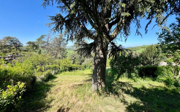 Maison à vendre    4 pièces •  Sourcieux-les-Mines