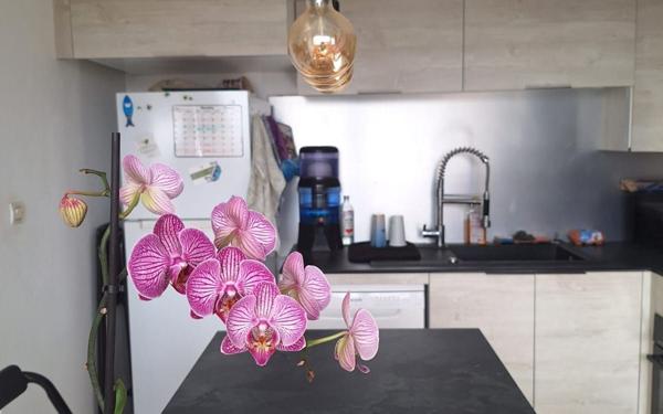 Appartement à vendre    2 pièces • 61,95 m2 Le Gosier