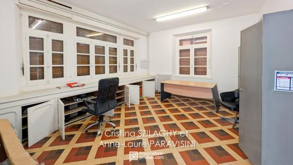 Carcassonne, Grande maison familiale avec local commercial - Vue sur le Canal du Midi