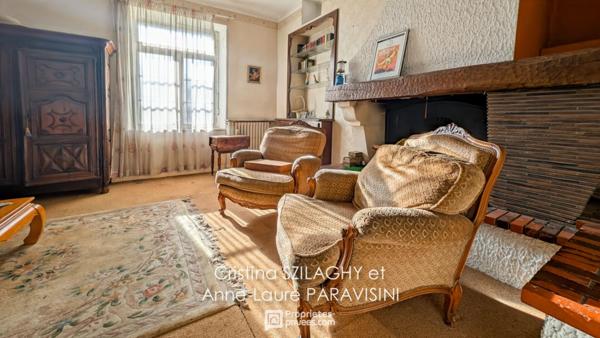 Carcassonne, Grande maison familiale avec local commercial - Vue sur le Canal du Midi