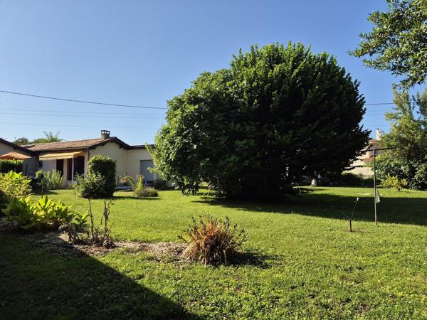 Maison de plain-pied avec grand terrain arboré et chai