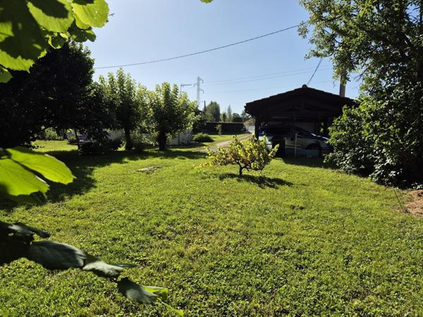 Maison de plain-pied avec grand terrain arboré et chai