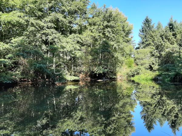 Terrain de loisirs de 9 275 m²