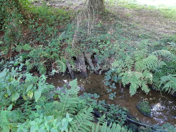 Terrain de loisirs de 9 275 m²