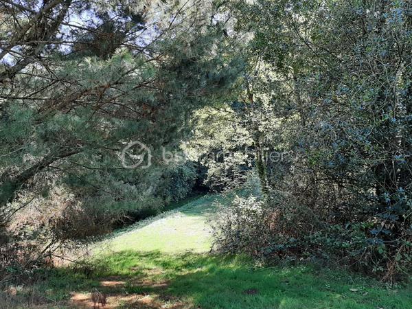 Terrain de loisirs de 9 275 m²