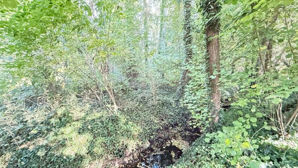 NOAILLES PROCHE Maison 7 pièces, 4 chambres, salle de jeux, garage, cave, grand terrain