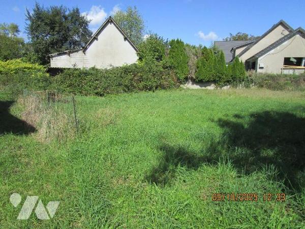 Maison de caractère, composée de : 
- Au rez-de-chaussée : cellier, 3 caves, chaufferie fuel, ...