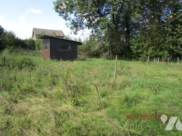 Maison de caractère, composée de : 
- Au rez-de-chaussée : cellier, 3 caves, chaufferie fuel, ...